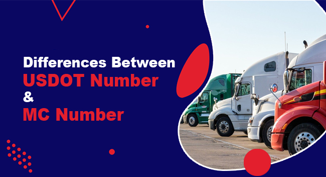 Trucks are parked in a line on a road, showcasing various models. The text reads: "Differences Between USDOT Number & MC Number," emphasizing regulatory services. The background is dark blue with red accents.